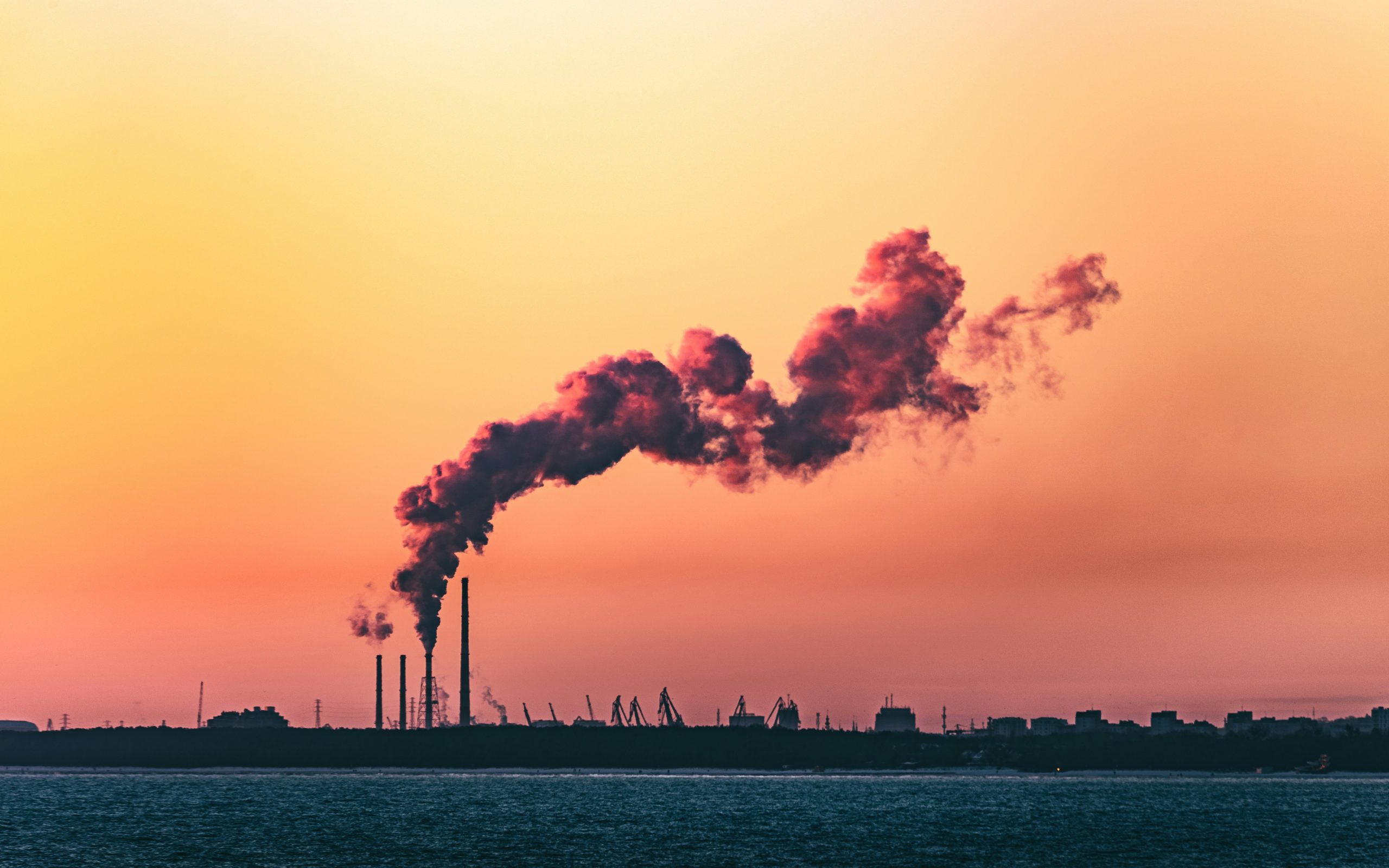 Beitrag zur Nachhaltigkeit - Möbel mieten statt kaufen mit Lyght Living